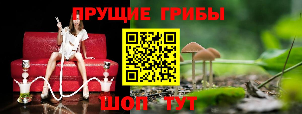 Галлюциногенные грибы Psilocybe  Вход с VPN  Тимашёвск  Псилоцибиновые грибы мухоморы 